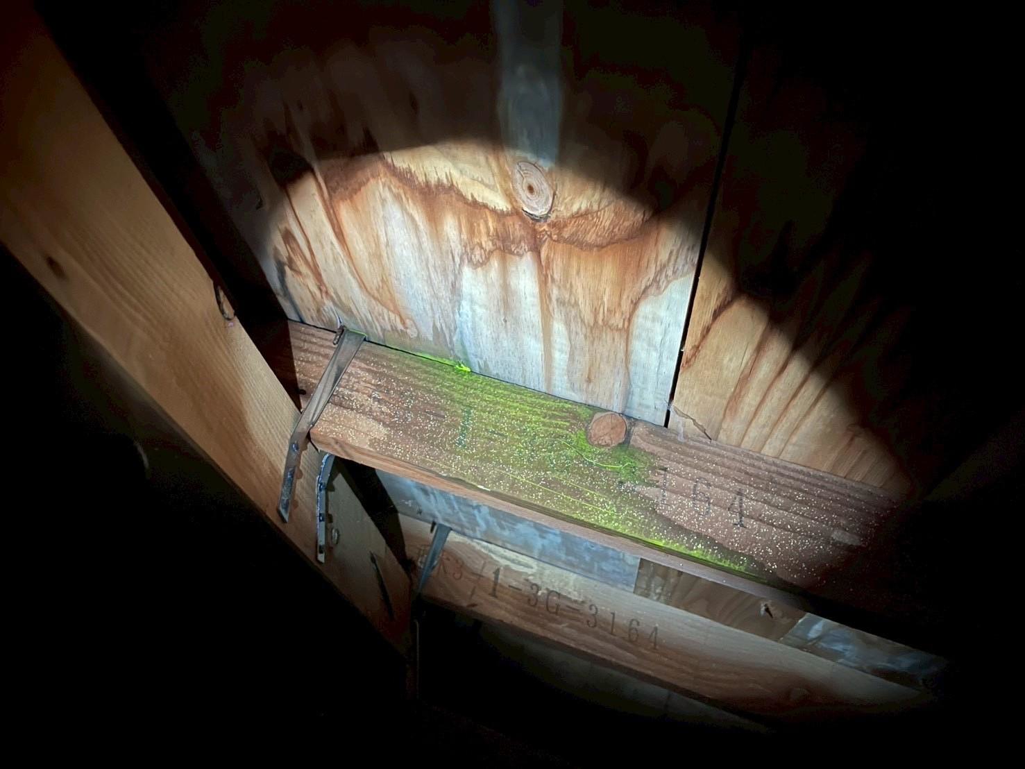 一見すると大きな割れや欠損は見当たりませんでしたが、以下の点で雨が集まりやすいポイントがありました。