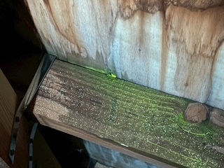 一見すると大きな割れや欠損は見当たりませんでしたが、以下の点で雨が集まりやすいポイントがありました。