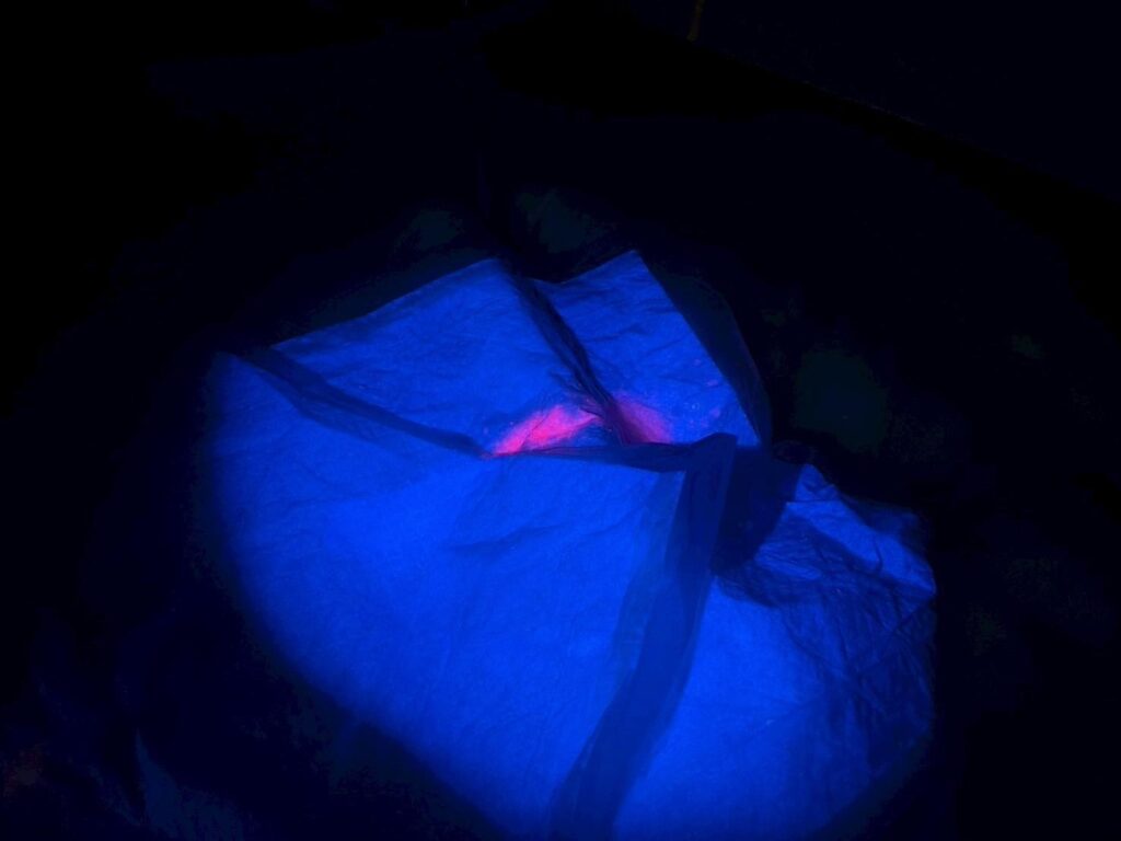 埼玉県上尾市 O様邸 雨漏り 散水調査・蛍光塗料調査を実施しました