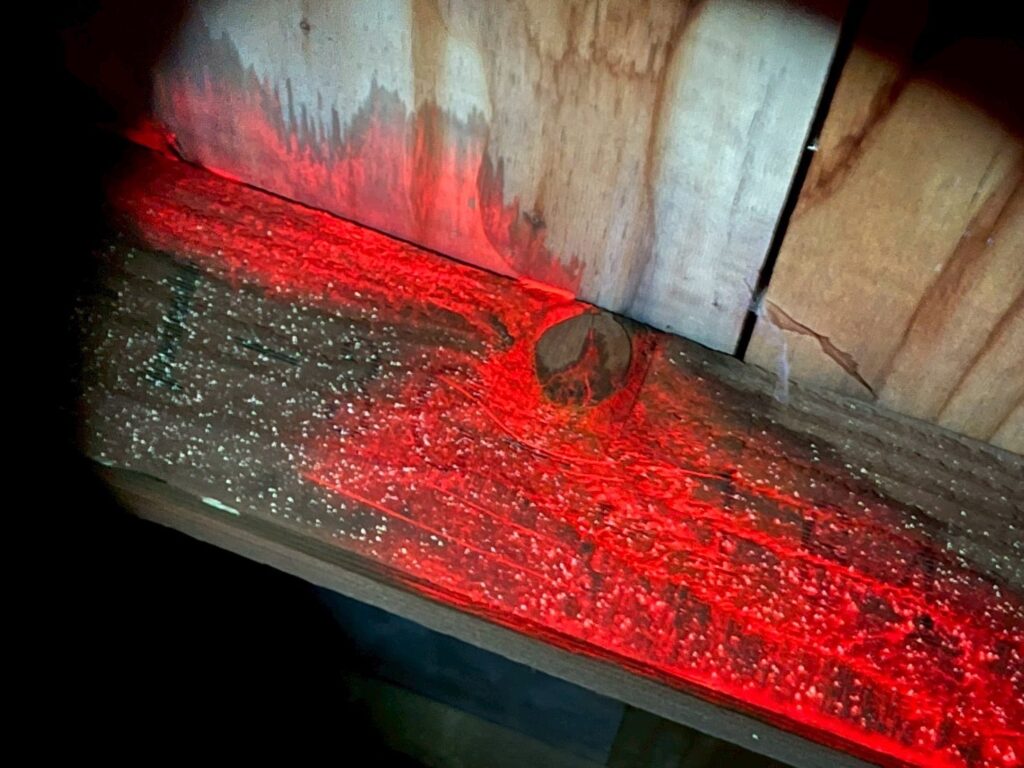 一見すると大きな割れや欠損は見当たりませんでしたが、以下の点で雨が集まりやすいポイントがありました。