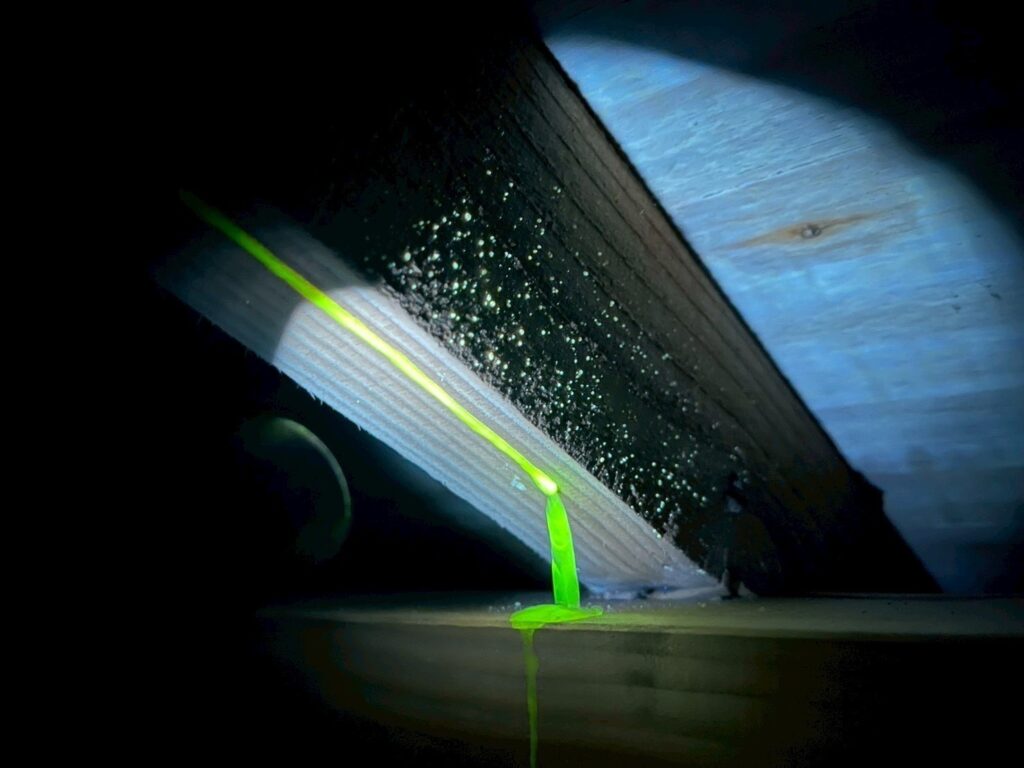 一見すると大きな割れや欠損は見当たりませんでしたが、以下の点で雨が集まりやすいポイントがありました。