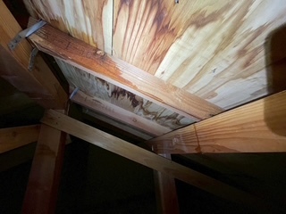 埼玉県上尾市 O様邸 雨漏り 散水調査・蛍光塗料調査を実施しました