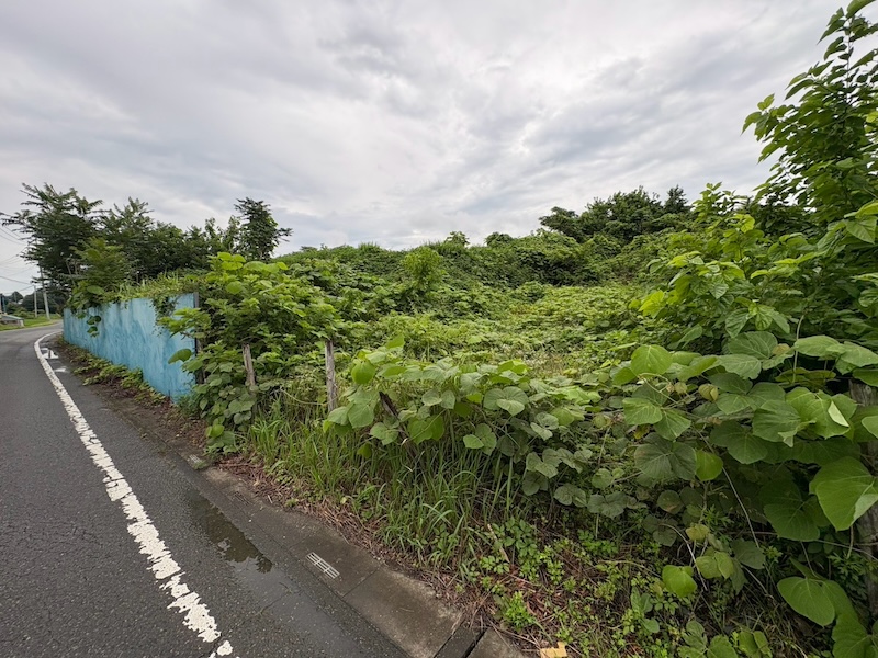 埼玉県坂戸市 蓄電所予定地 草木除去工事