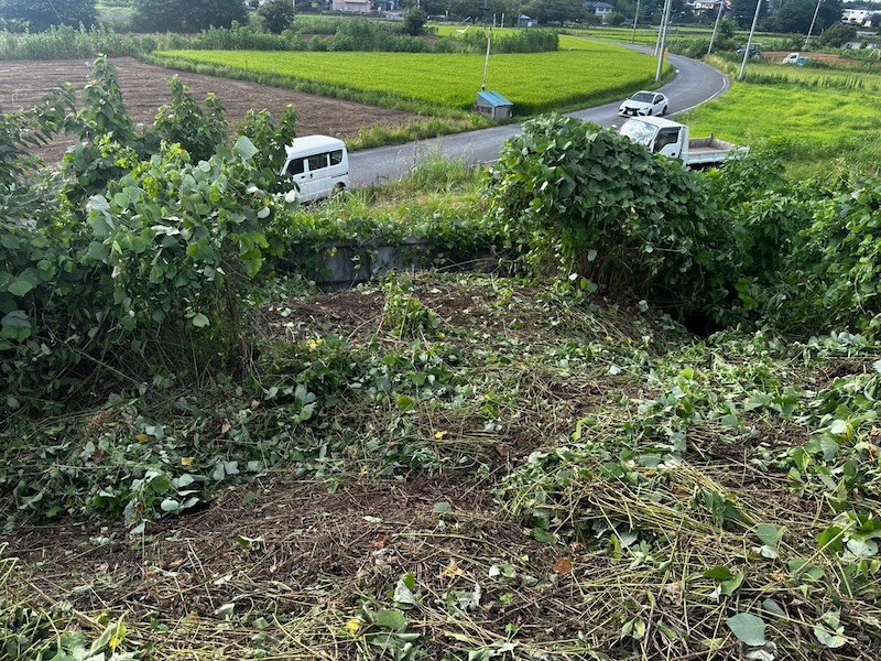 埼玉県坂戸市 蓄電所予定地 草木除去工事