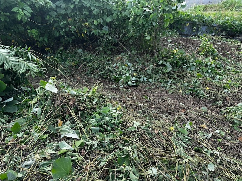 埼玉県坂戸市 蓄電所予定地 草木除去工事