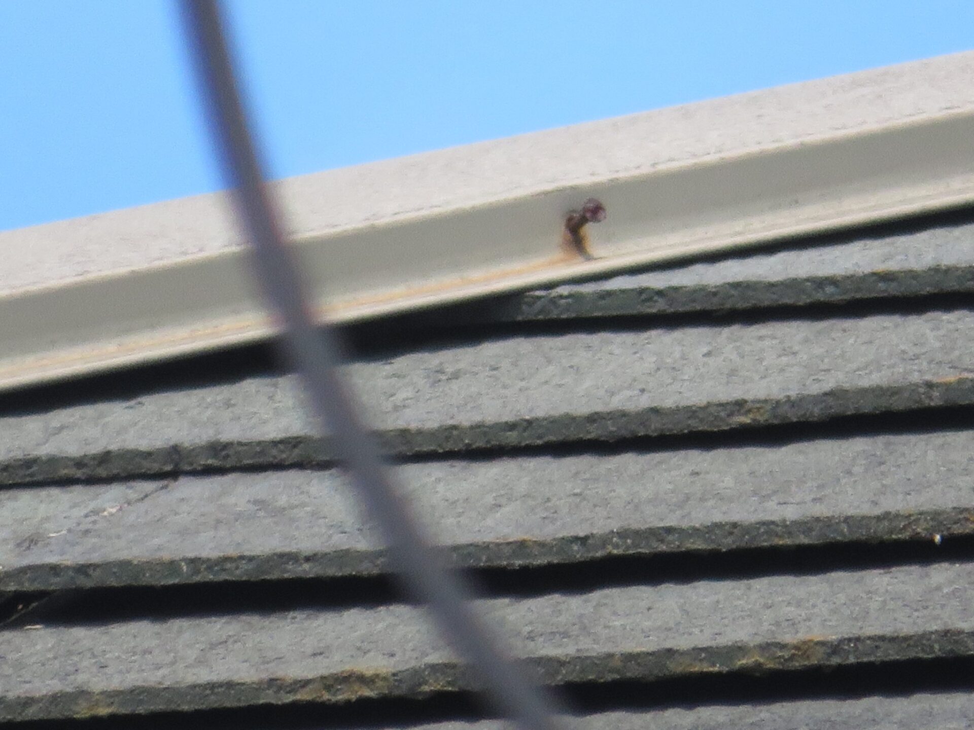 埼玉県上尾市 S様邸|屋根塗装・外壁塗装・ベランダ防水工事